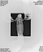 photo_2024-12-16_14-10-50 (2)