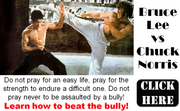 Chuck Norris vs Bruce Lee0