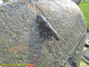 IMG-9322