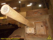 DSCN6517