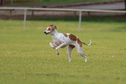 IMG-5064