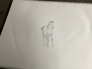 FAE1D4CF-64A9-4693-9217-3B8FC04A0AFC