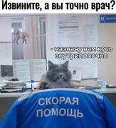 c94fd8d0cacf7897cec06fc97e97190c.jpg