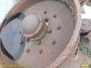 DSCN5972