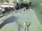IMG-5875