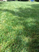 B60A678E-8720-4EA4-8679-1C45A83500CF