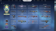 Valorant-Screenshot-2022-10-14-17-55-07-66