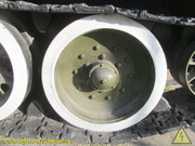 IMG-5311