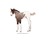 D26389B6-BBBE-4F4F-A6B7-8DB8F407C33F