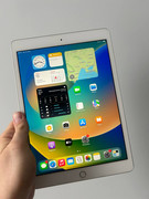 photo_2024-11-13_13-54-02