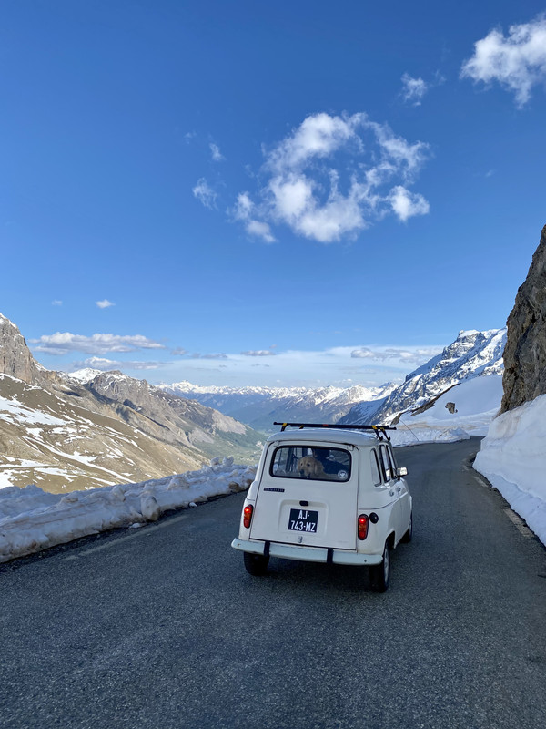 9797A618-399C-4F8D-A0AA-88B50AB23A4D