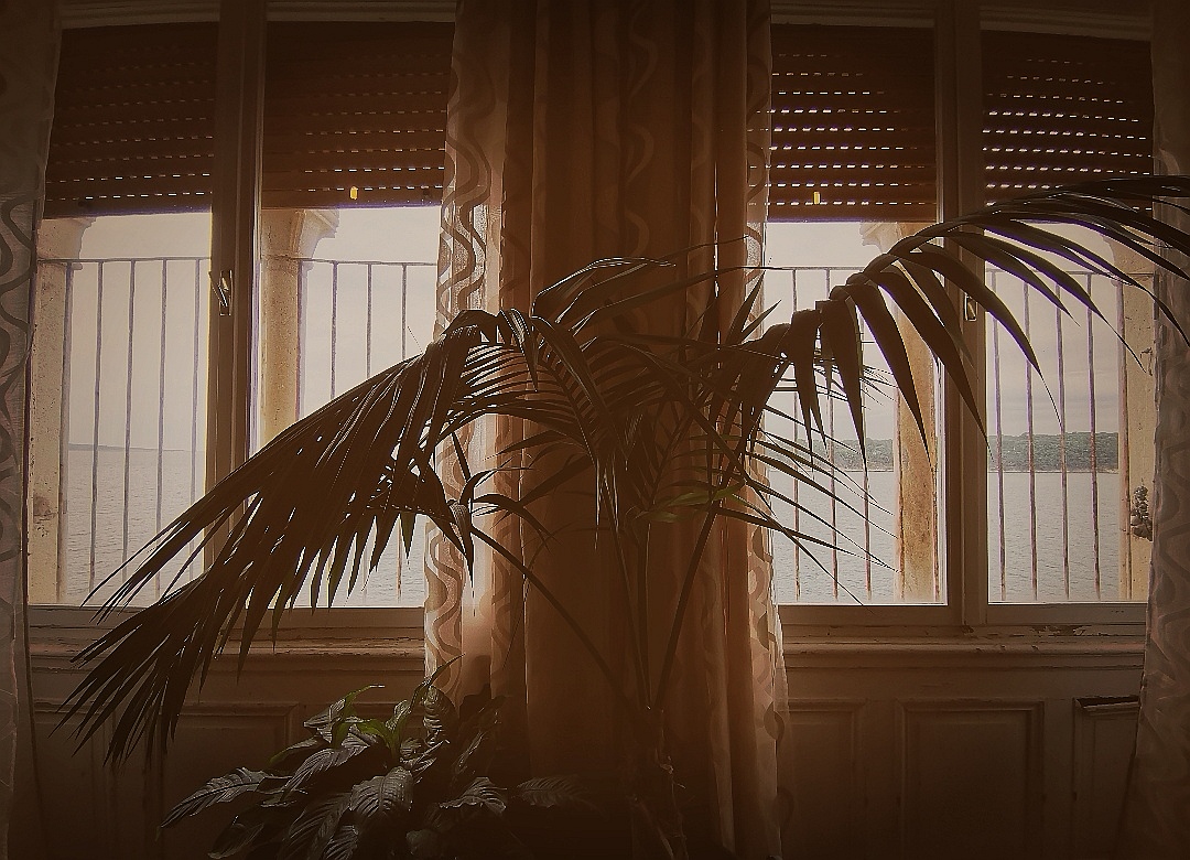 Screenshot-20211022-122620.jpg