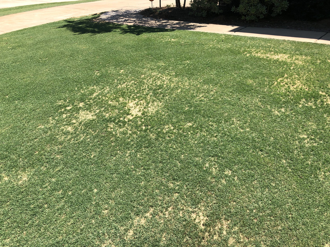 B119AB1C-0BCC-4B7F-8863-26A0FFB9AFB5