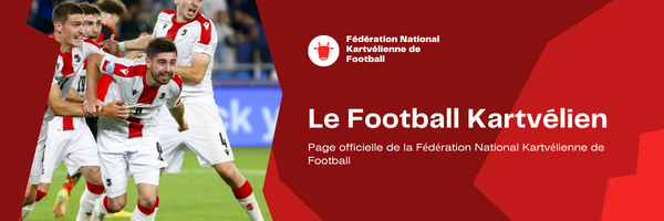 Bannière officielle de la Fédération National Kartvélienne de Football Bannière officielle de la Fédération National Kartvélienne de Football