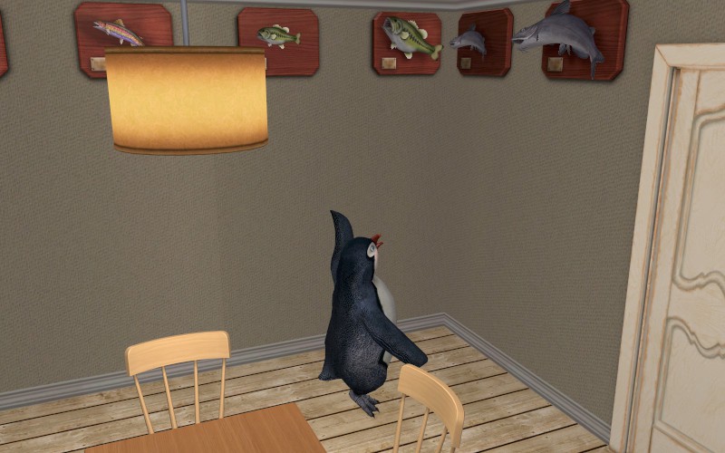 Lakewood-round5-187-800x500