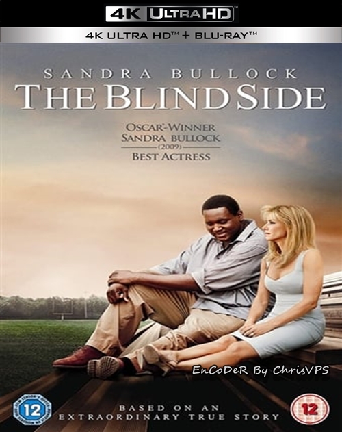 Wielki Mike / The Blind Side (2009) MULTI.HDR.2160p.BluRay.DTS.HD.MA.AC3-ChrisVPS / LEKTOR i NAPISY