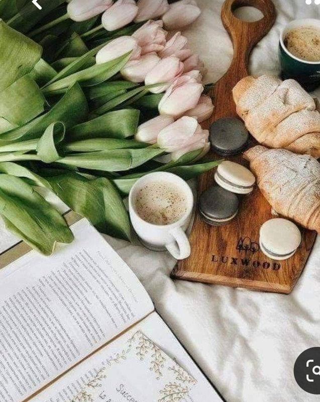 Screenshot_20230328_003401_Pinterest