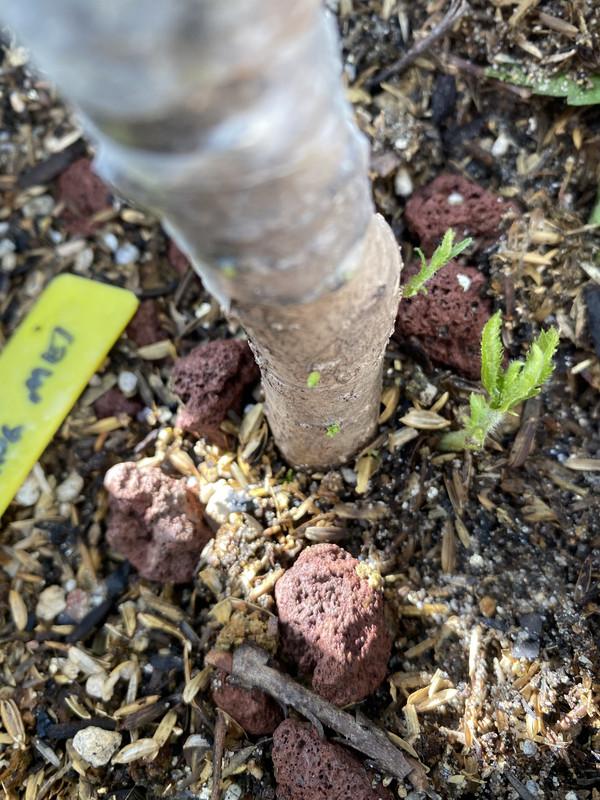 9C5E9F03-00DF-4161-B90F-91358C76E6F0