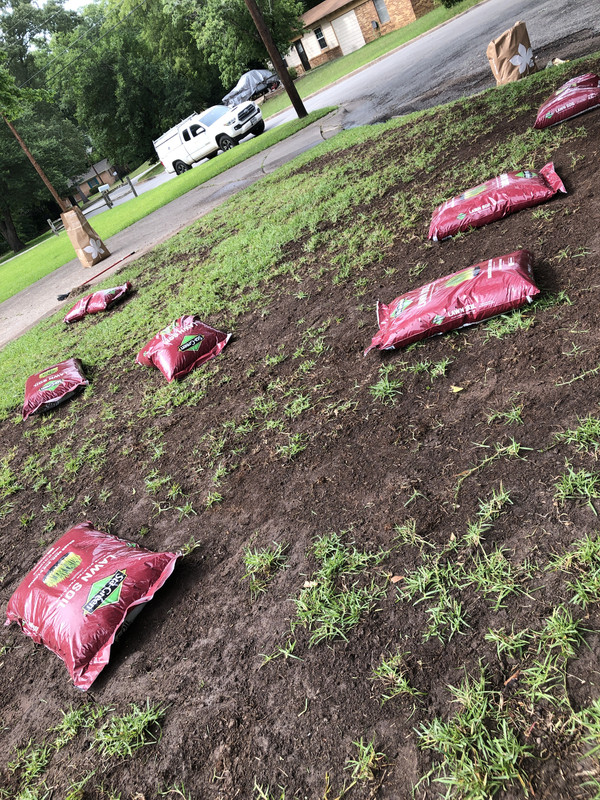 DAE90432-2D9C-4EA8-94F2-5252FD087D7E