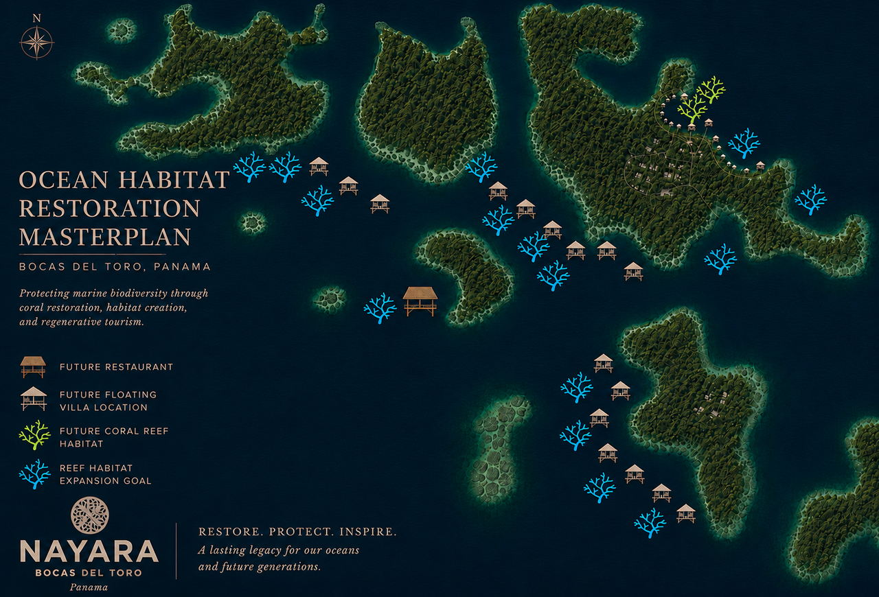Nayara Bocas del Toro Ocean Habitat Restoration Masterplan