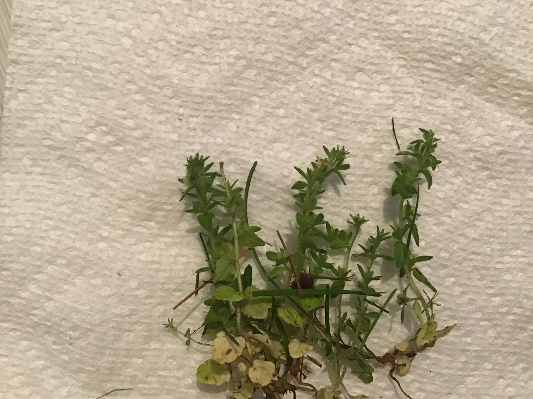 EA3E97C1-225E-4BB1-B524-1F580AD82842