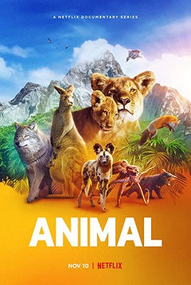 Animal: il meraviglioso regno animale - Stagione 2 (2022) [Completa] DLMux 1080p E-AC3+AC3 ITA ENG SUBS