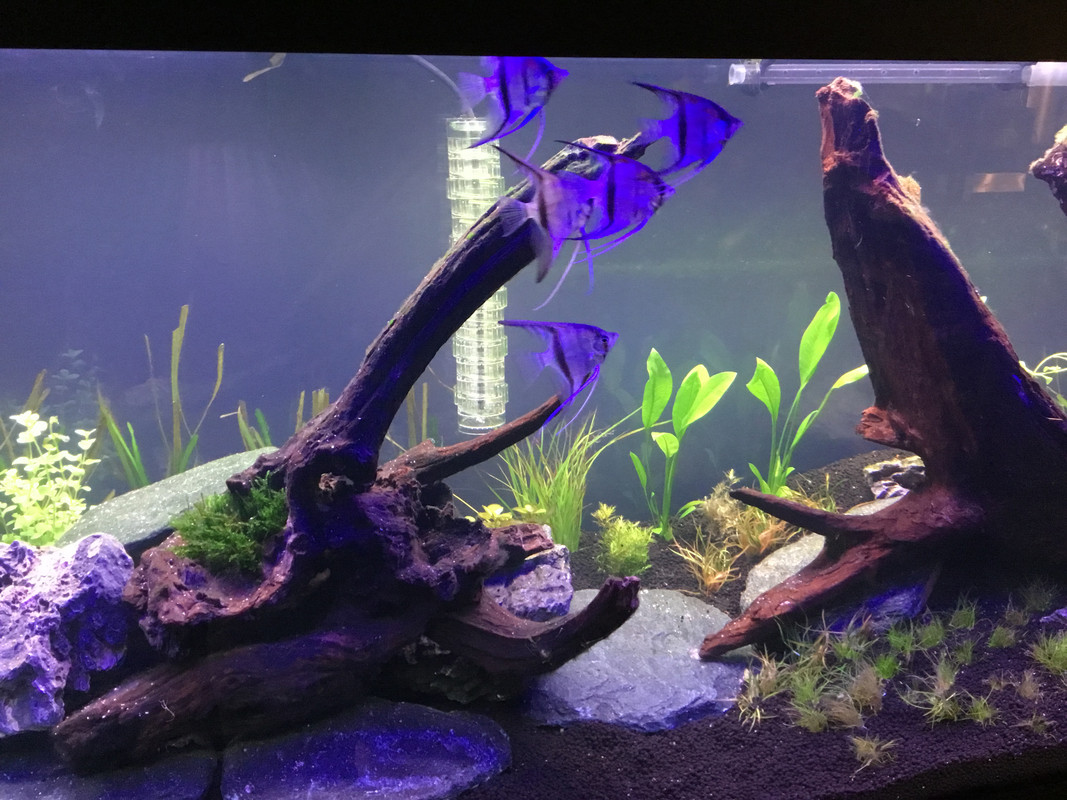 FFDDC597-F943-4F8D-B2A7-A1C1D6AAE543