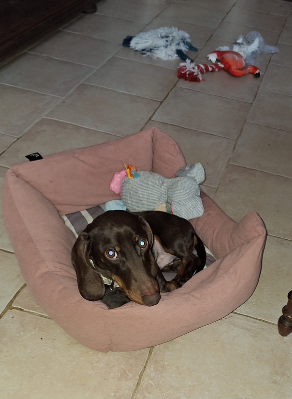 [Image: 20240326-125414.jpg]