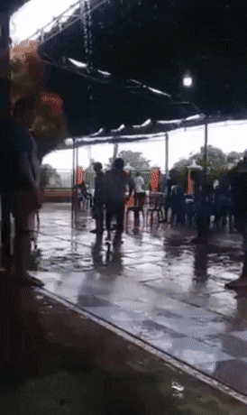daily-gifdump-3390-23.gif