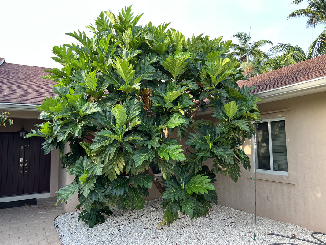 B0A61E35-6A2C-4BE1-BDA6-E60A1D3BB065