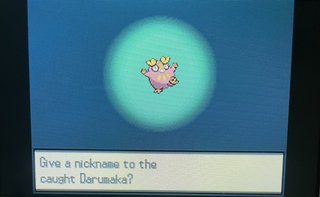 Nickname screen for a shiny Darumaka