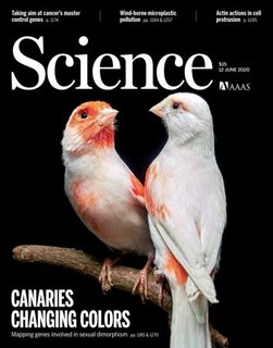 Science - June 12, 2020
