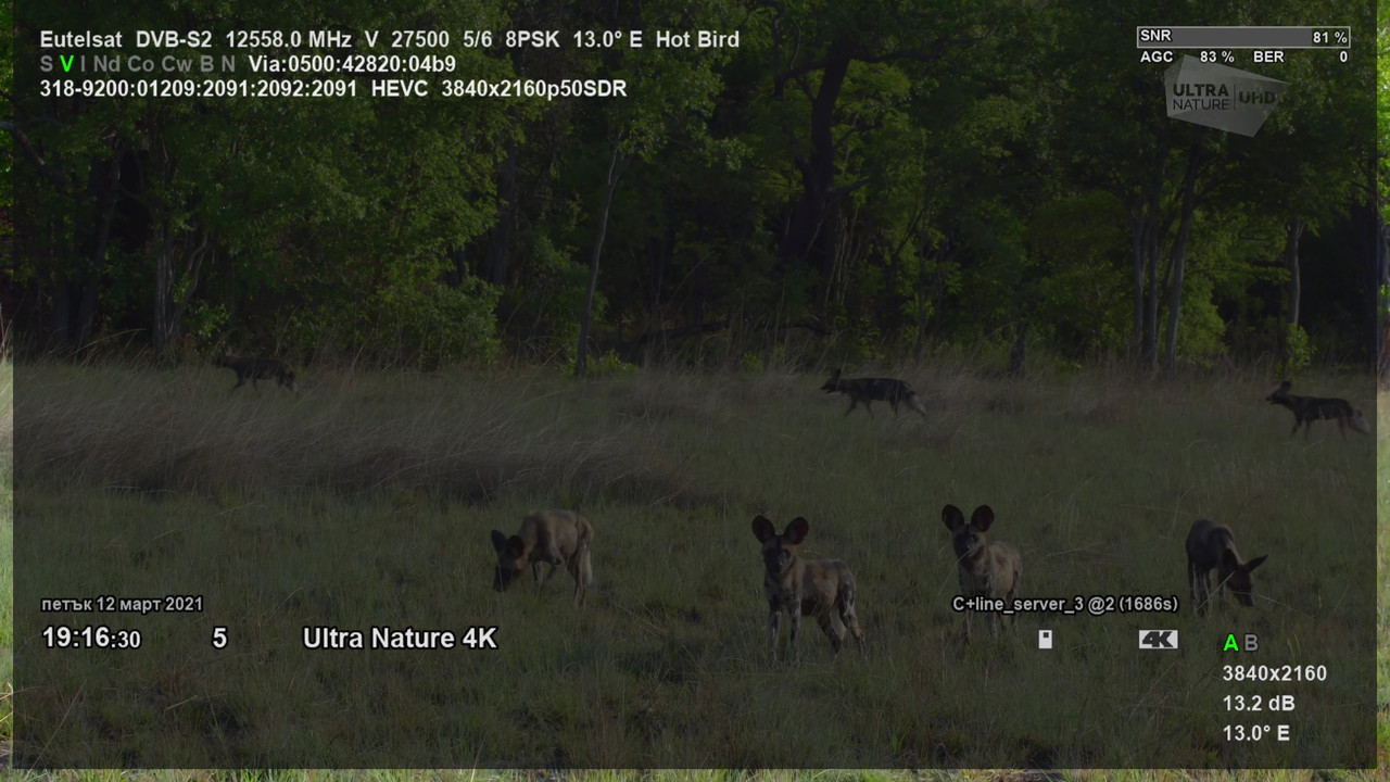 1_0_1F_4B9_23F0_13E_820000_0_0_0_20210312191631