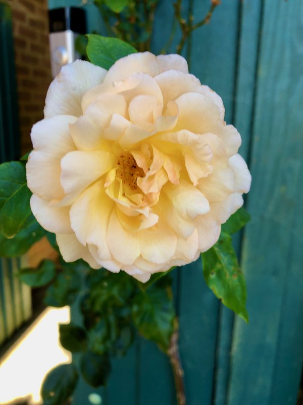 IMG-5330.jpg