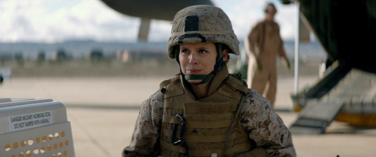Megan Leavey (2017) (1080p Bluray x265 HEVC 10bi