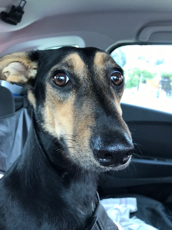 1B029B94-953E-4F45-922D-06120681031F