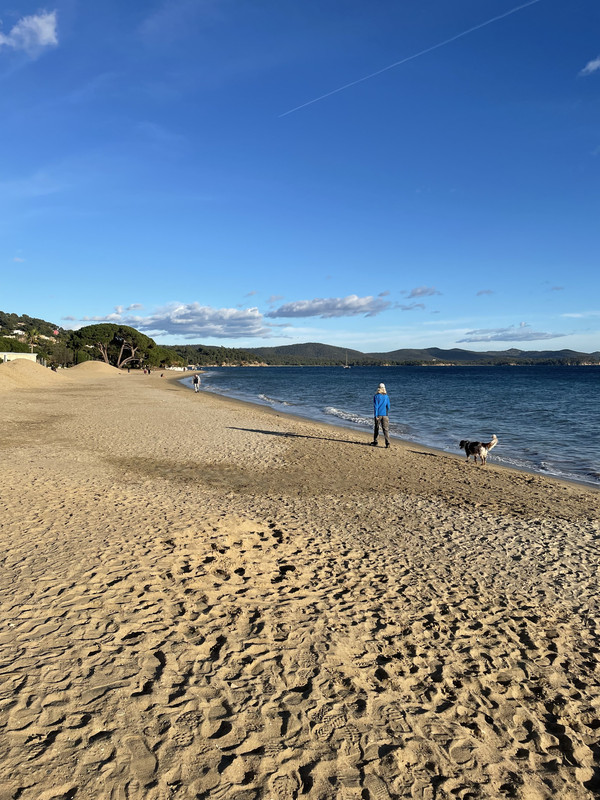 9B51F951-44F7-44AE-973B-422E976D9E68