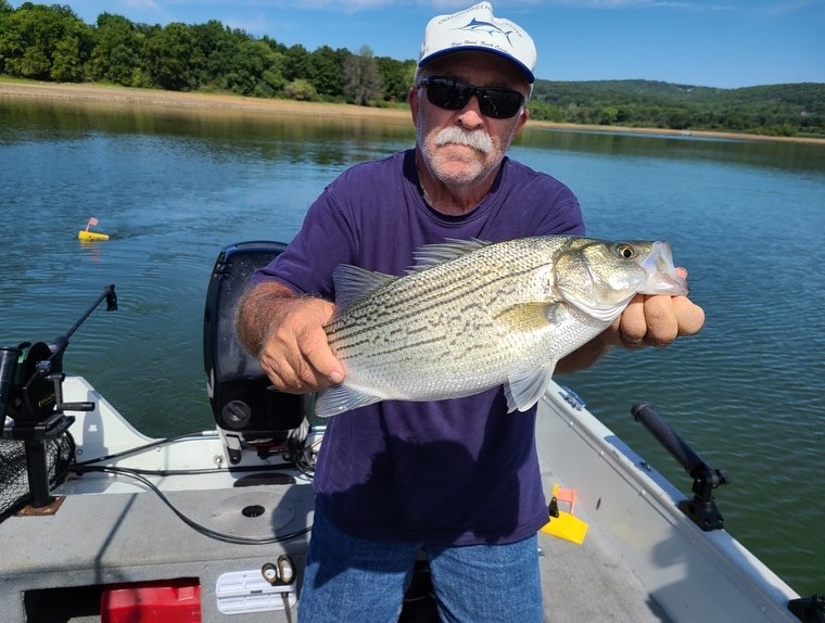 41C92DC2-42EF-4D92-9CDF-C495F7572E1D