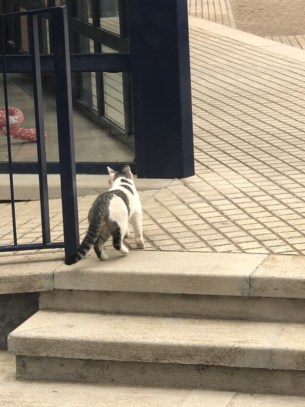 DE604C81-4662-4B15-80F7-73914A0D6D35