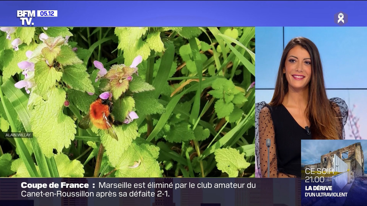 2021-03-08_04_30_BFMTV_Premiere-edition.mp4_snapshot_00.48.08.823