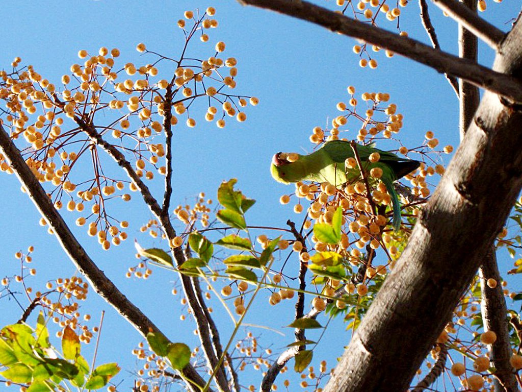 IMG_20220129_145445_141