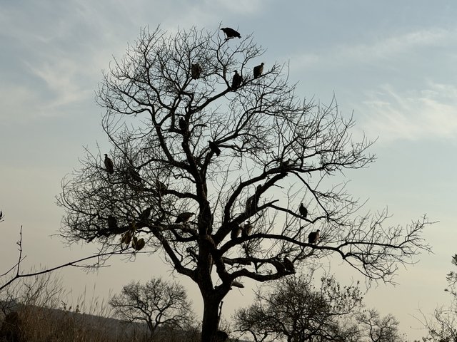 [Linked Image from i.postimg.cc]