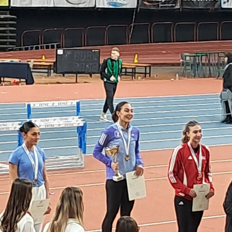 ΧΑΛΚΙΝΗ ΜΕ ΑΤΟΜΙΚΟ ΡΕΚΟΡ Η ΝΕΑΜΟΝΙΤΗ