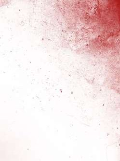 Tumblr l 502358654822687