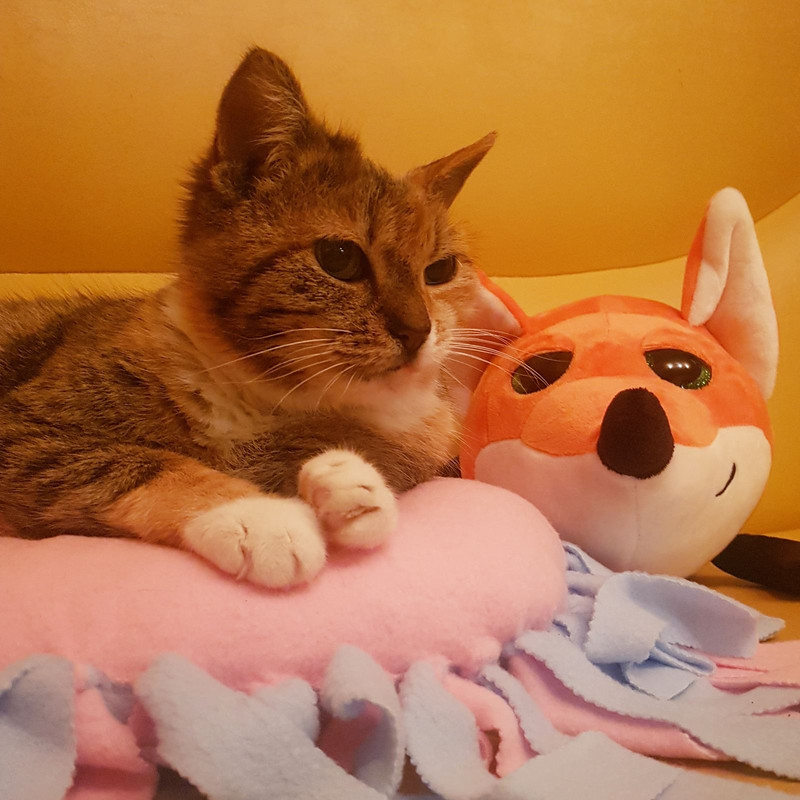 1F71D2C8-C12B-47B5-908F-26EF1DBABA99