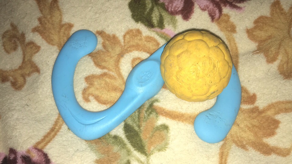 Без имени-5_2