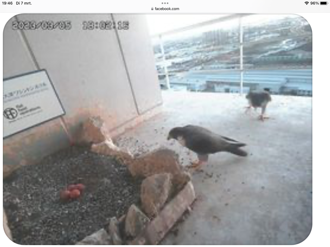 DDBFAECB-1659-4CDD-B353-11067577D690