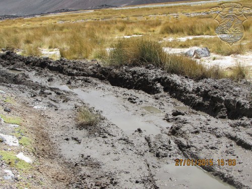 la ciénaga que dijo no