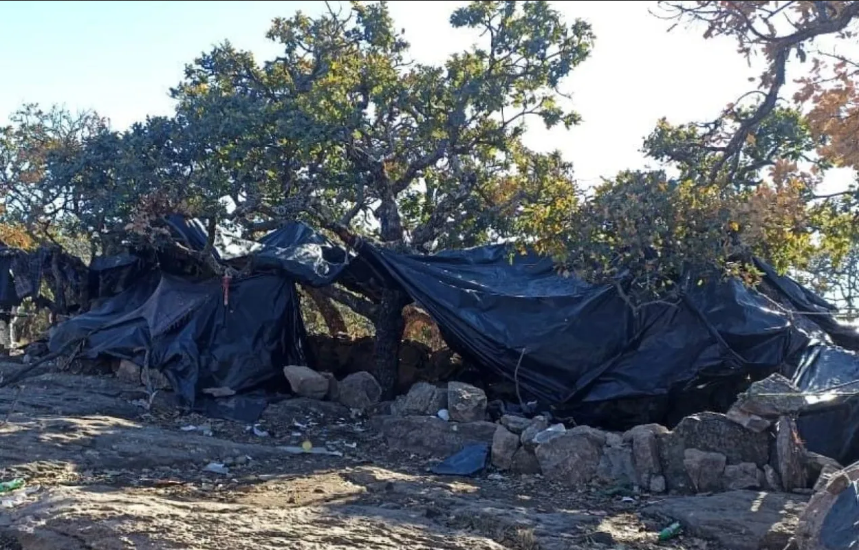 Guardia Nacional desmantela 6 narcocampamentos entre Jalisco y Zacatecas
