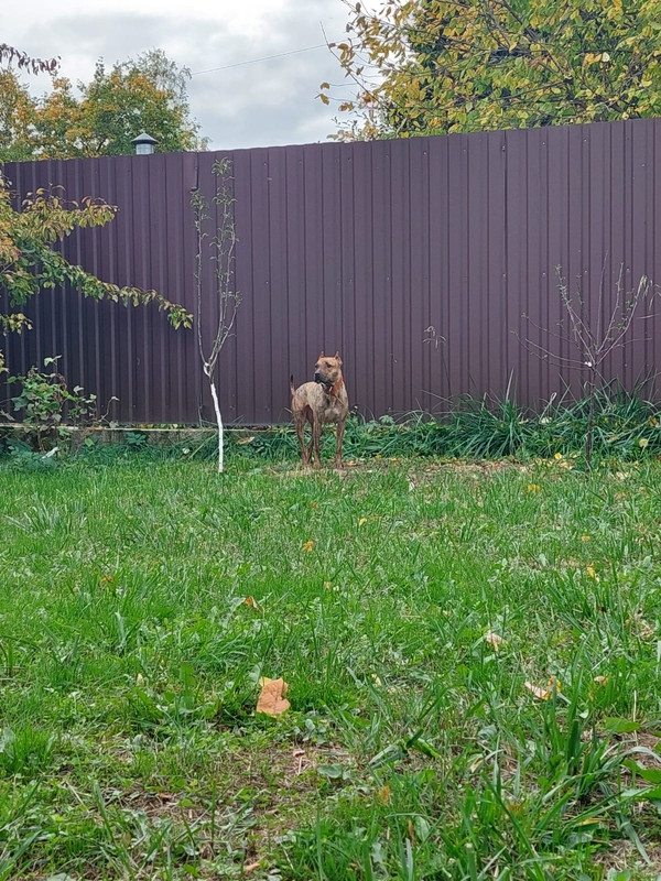 CC8059C5-CBDF-496B-9C01-9237C13050A9